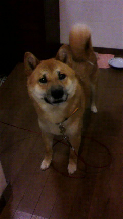 2009080921210000.jpg