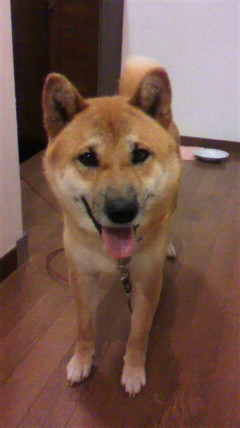 2009080921220001.jpg