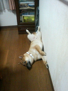 P1010006.jpg
